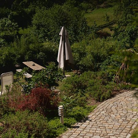 Haus Am Berzdorfer See - 3 Schlafzimmer - Ganzes Haus Zur Alleinnutzung - Terrasse - Hochwertige Ausstattung Görlitz Eksteriør bilde