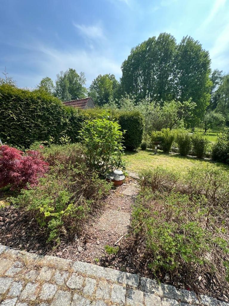 Haus Am Berzdorfer See - 3 Schlafzimmer - Ganzes Haus Zur Alleinnutzung - Terrasse - Hochwertige Ausstattung Görlitz Eksteriør bilde