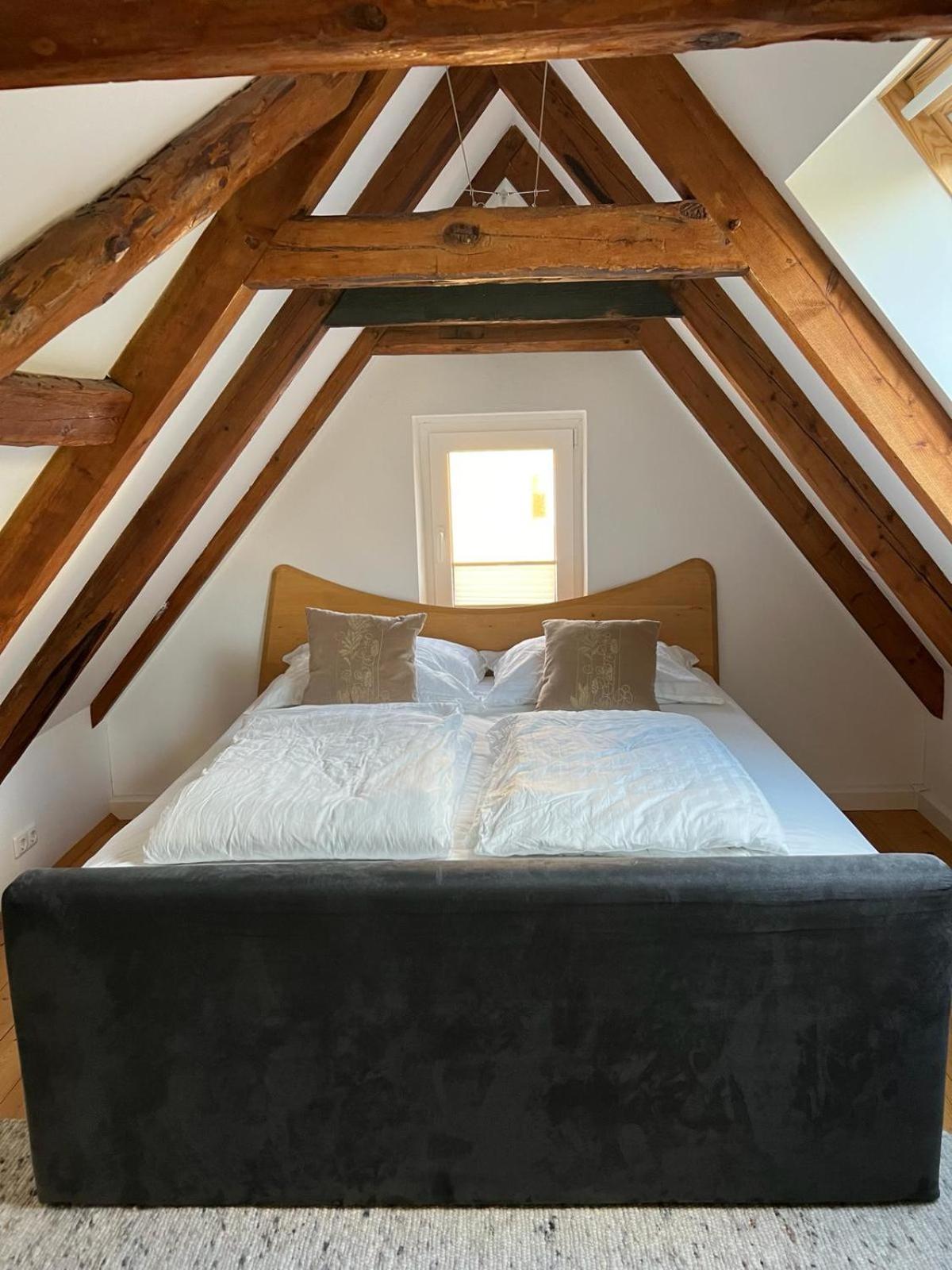 Haus Am Berzdorfer See - 3 Schlafzimmer - Ganzes Haus Zur Alleinnutzung - Terrasse - Hochwertige Ausstattung Görlitz Eksteriør bilde